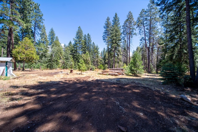 33103 Michelle Ln, Shingletown, CA 96088 - photo 28