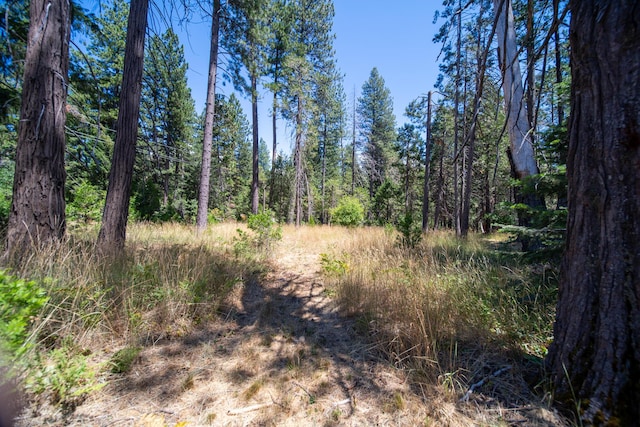 33103 Michelle Ln, Shingletown, CA 96088 - photo 30