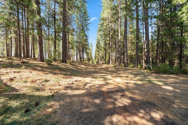 30588 Shingletown Ridge Rd, Shingletown, CA 96088 - photo 31