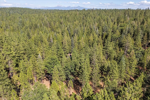 30588 Shingletown Ridge Rd, Shingletown, CA 96088 - photo 38