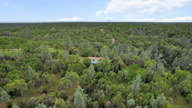 17235 View Dr, Cottonwood, CA 96022 - photo 28