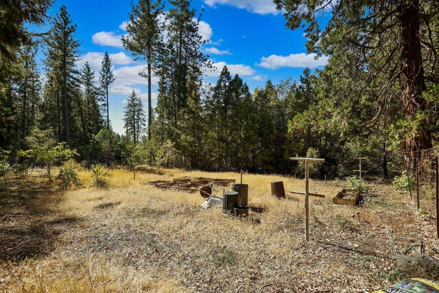 21800 Cedar Ridge Rd, Manton, CA 96059 - photo 42