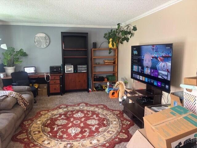 20158 Mapleleaf St, Burney, CA 96013 - photo 13