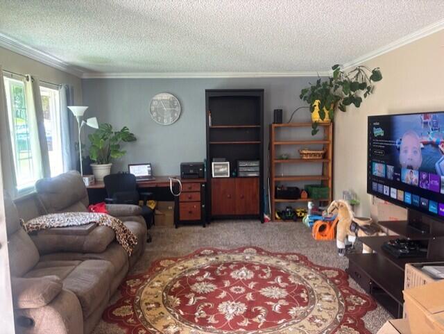 20158 Mapleleaf St, Burney, CA 96013 - photo 3