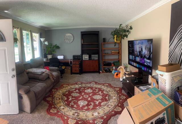20158 Mapleleaf St, Burney, CA 96013 - photo 14