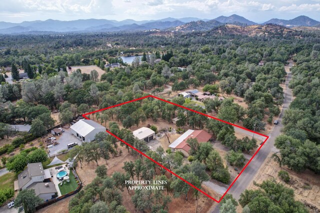 13074 Fernie Way, Redding, CA 96003 - photo 55