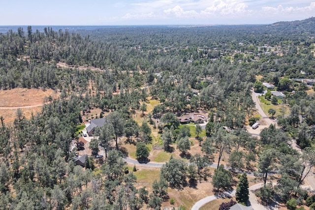 9109 Simmons Rd, Redding, CA 96001 - photo 50