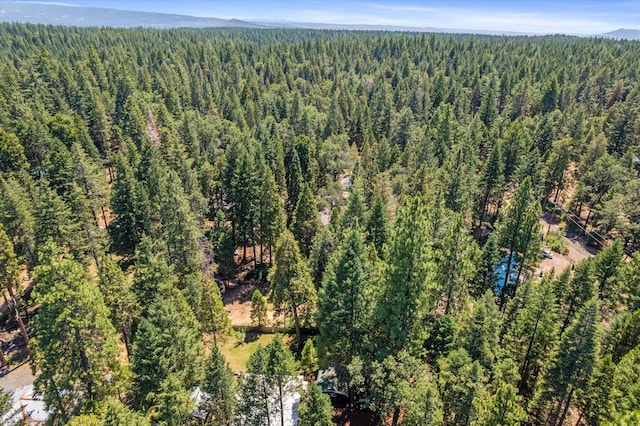 7652 Eastwood Way, Shingletown, CA 96088 - photo 48
