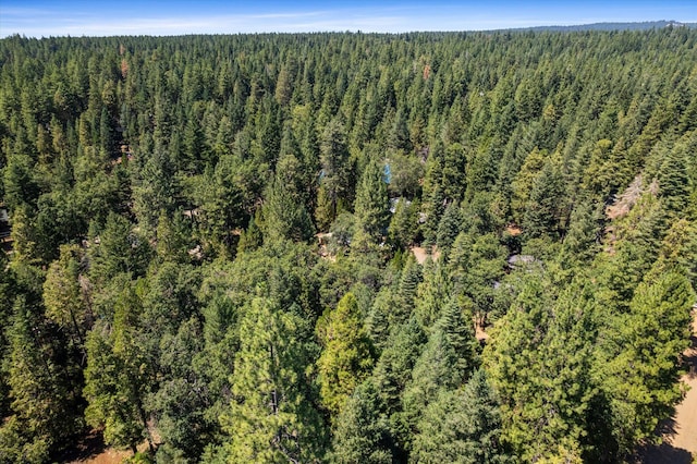 7652 Eastwood Way, Shingletown, CA 96088 - photo 51