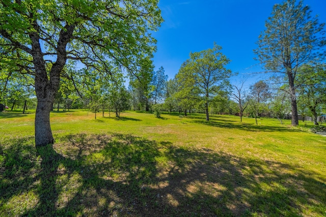 20038 Juanita Ln, Redding, CA 96003 - photo 38