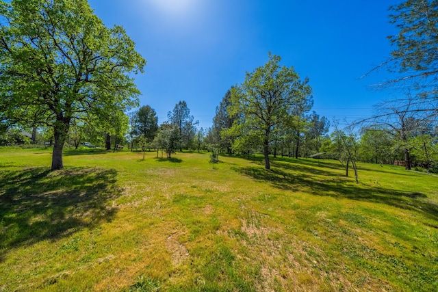 20038 Juanita Ln, Redding, CA 96003 - photo 41