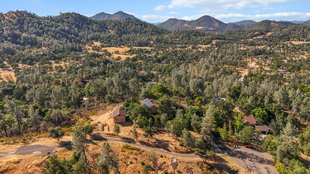 19924 Woodchuck Trl, Redding, CA 96003 - photo 60