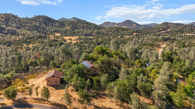19924 Woodchuck Trl, Redding, CA 96003 - photo 61