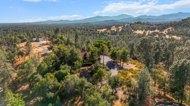 19924 Woodchuck Trl, Redding, CA 96003 - photo 62