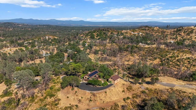 19924 Woodchuck Trl, Redding, CA 96003 - photo 63