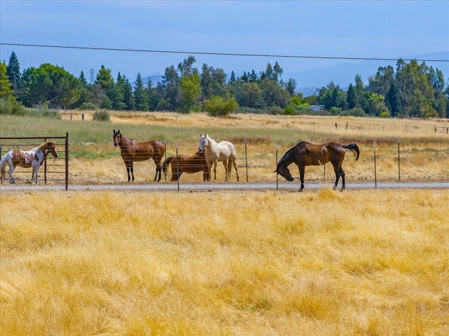 20050 Plains Dr, Red Bluff, CA 96080 - photo 15