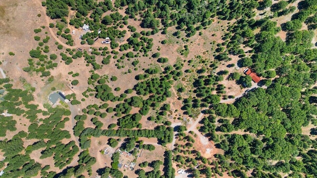 8000 Osprey Ln, Weed, CA 96094 - photo 33