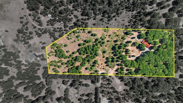 8000 Osprey Ln, Weed, CA 96094 - photo 31
