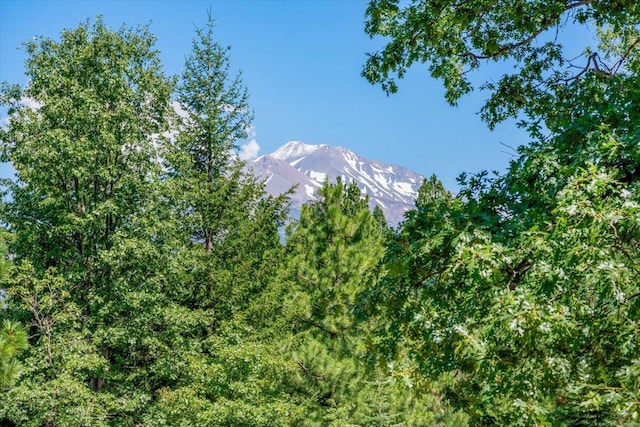 8000 Osprey Ln, Weed, CA 96094 - photo 27