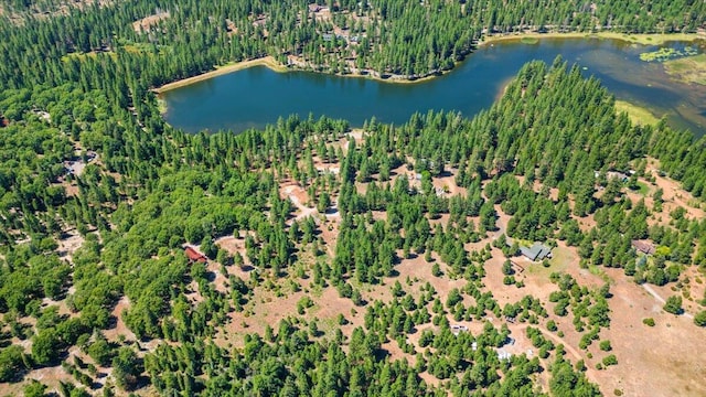 8000 Osprey Ln, Weed, CA 96094 - photo 3