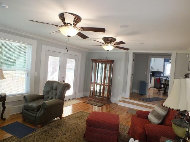 living room with ceiling fan, light wood-type flooring, a wealth of natural light, and french doors