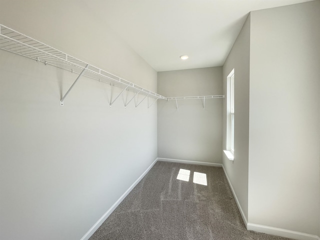 spacious closet with dark carpet