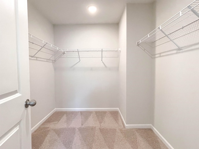 walk in closet with carpet