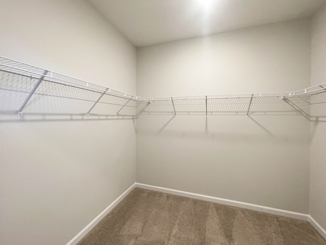 walk in closet with carpet