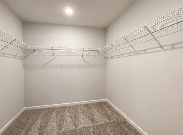 spacious closet with carpet flooring