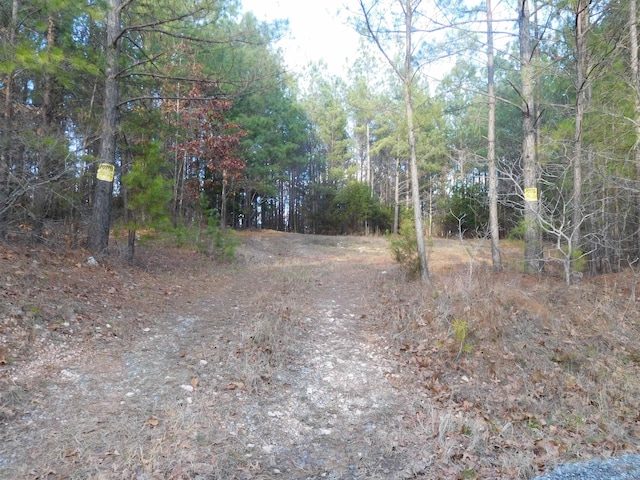 TBD Tanner Rd, Smyrna SC, 29743 land for sale