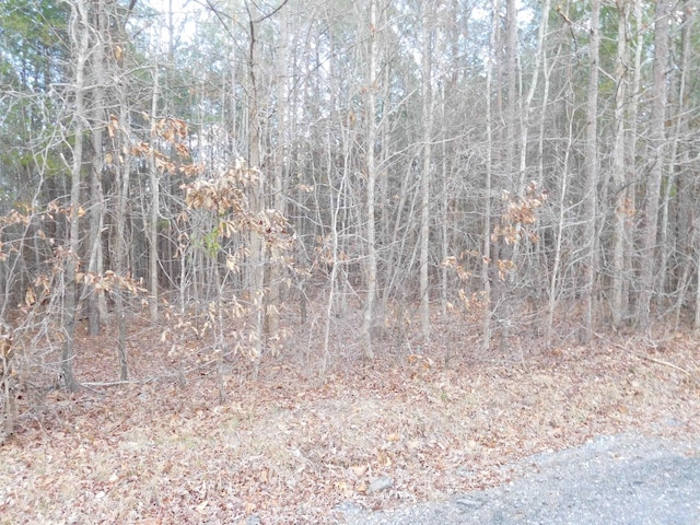 Listing photo 2 for TBD Tanner Rd, Smyrna SC 29743