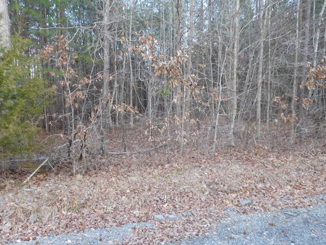 Listing photo 3 for TBD Tanner Rd, Smyrna SC 29743