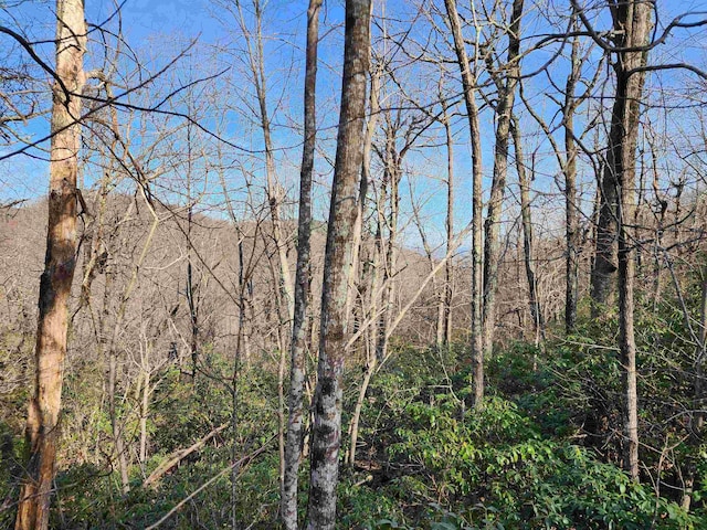 Listing photo 2 for LOT22 Sunset Rdg, Columbus NC 28722