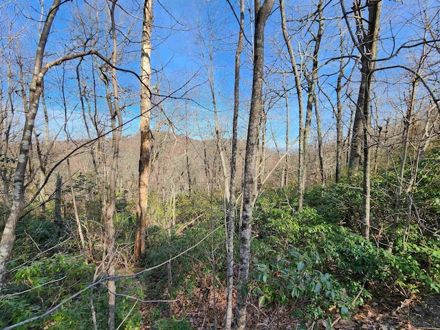 Listing photo 3 for LOT22 Sunset Rdg, Columbus NC 28722