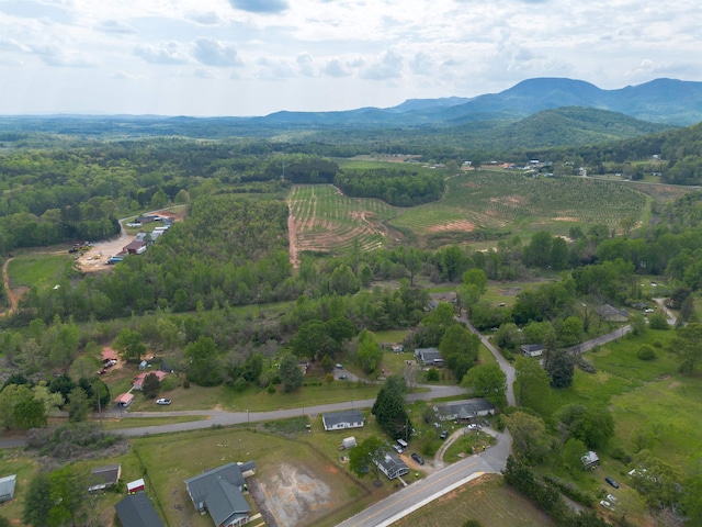 130 Sarah Dr, Landrum SC, 29356 land for sale