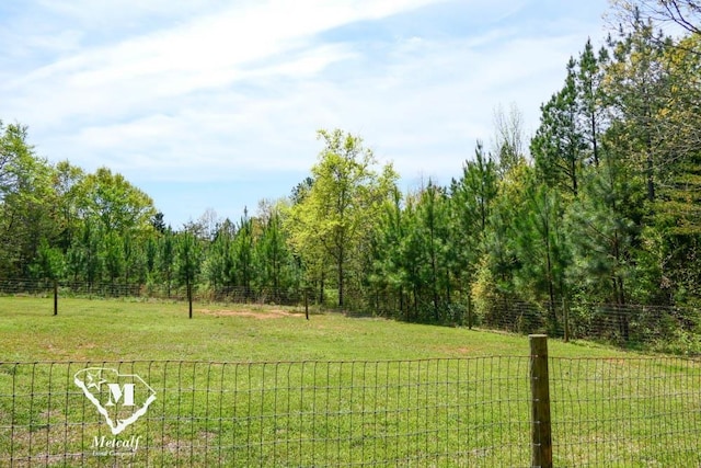 view of yard featuring a rural view