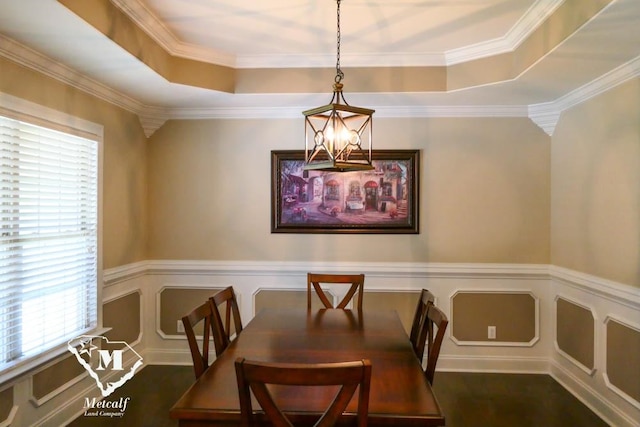 dining room with ornamental molding, a healthy amount of sunlight, dark wood-type flooring, and a tray ceiling