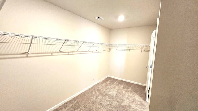 walk in closet with carpet flooring