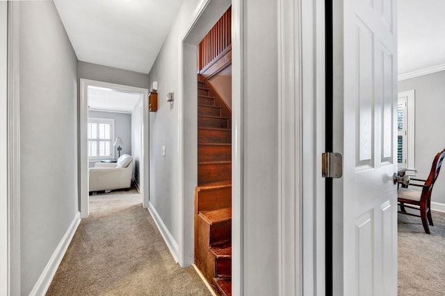 hall featuring light colored carpet and ornamental molding