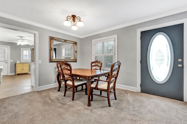 carpeted dining room featuring ceiling fan and crown molding