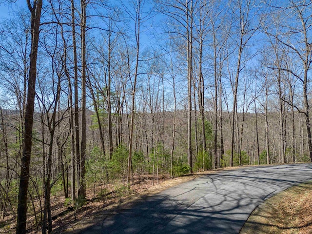 132 Overlook Park, Hendersonville NC, 28792 land for sale