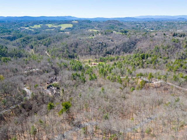 Listing photo 2 for 132 Overlook Park, Hendersonville NC 28792