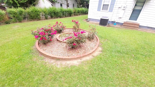 view of yard featuring central air condition unit