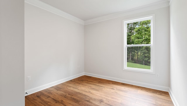 spare room featuring light hardwood / wood-style flooring and crown molding