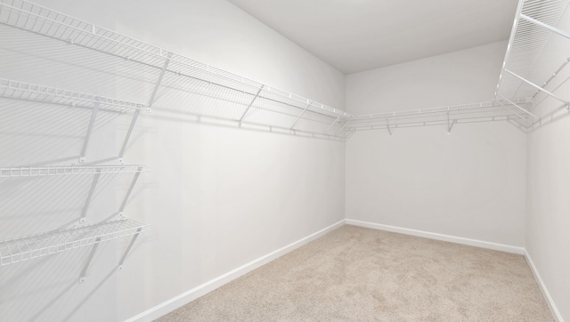 spacious closet with carpet