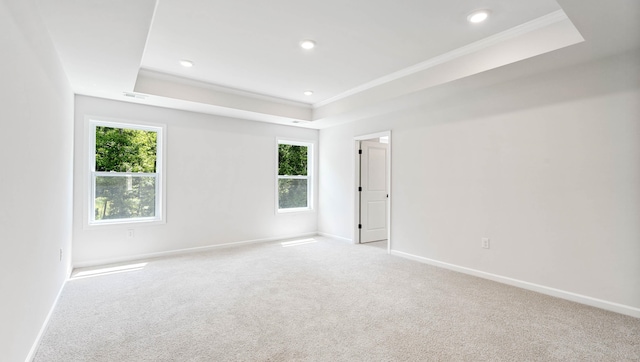 carpeted empty room featuring ornamental molding and a tray ceiling