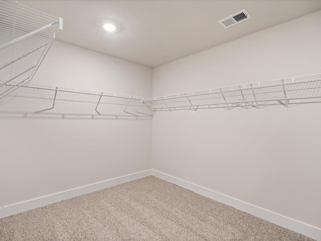 spacious closet featuring carpet flooring