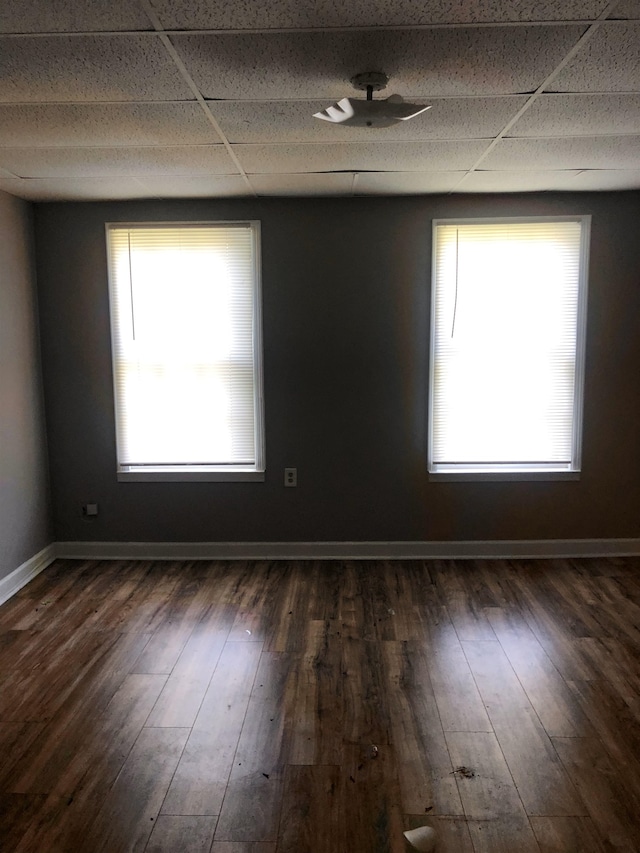 empty room featuring a wealth of natural light, a drop ceiling, and dark hardwood / wood-style flooring