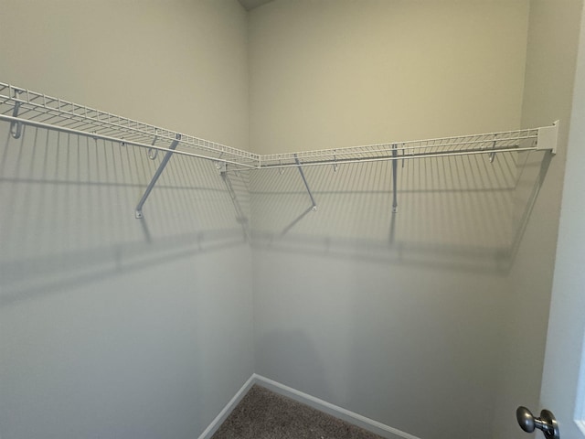1465 Macedonia, Gaffney, SC 29341 - spacious closet featuring carpet