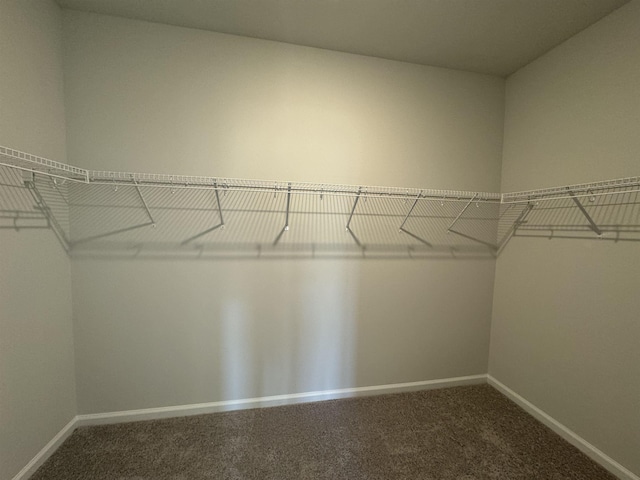 1465 Macedonia, Gaffney, SC 29341 - spacious closet featuring carpet